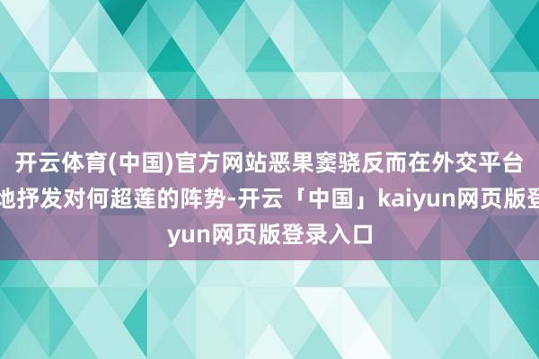 开云体育(中国)官方网站恶果窦骁反而在外交平台更公开地抒发对