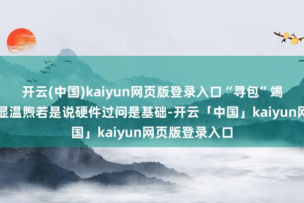 开云(中国)kaiyun网页版登录入口“寻包”竭力：微光处处